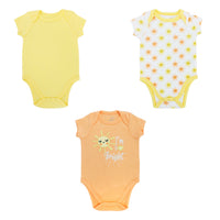 3 Pack Body
