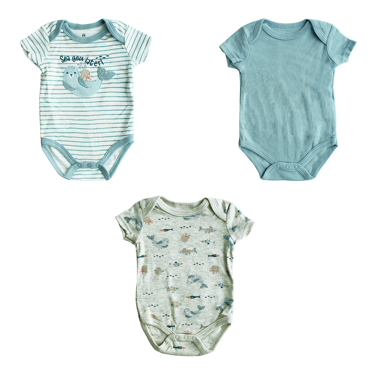 Body Manga Corta 3pk