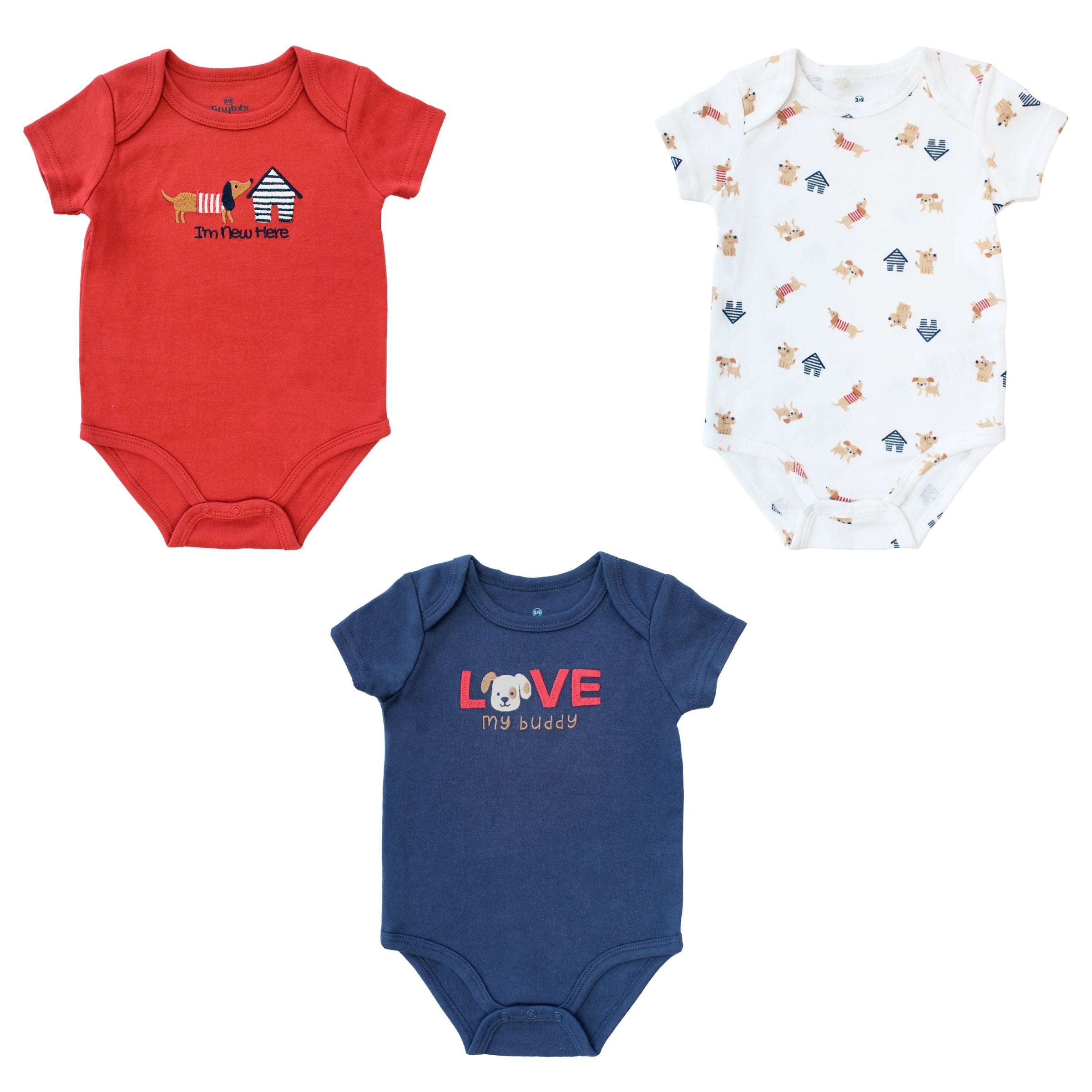 3 Pack Body Niño