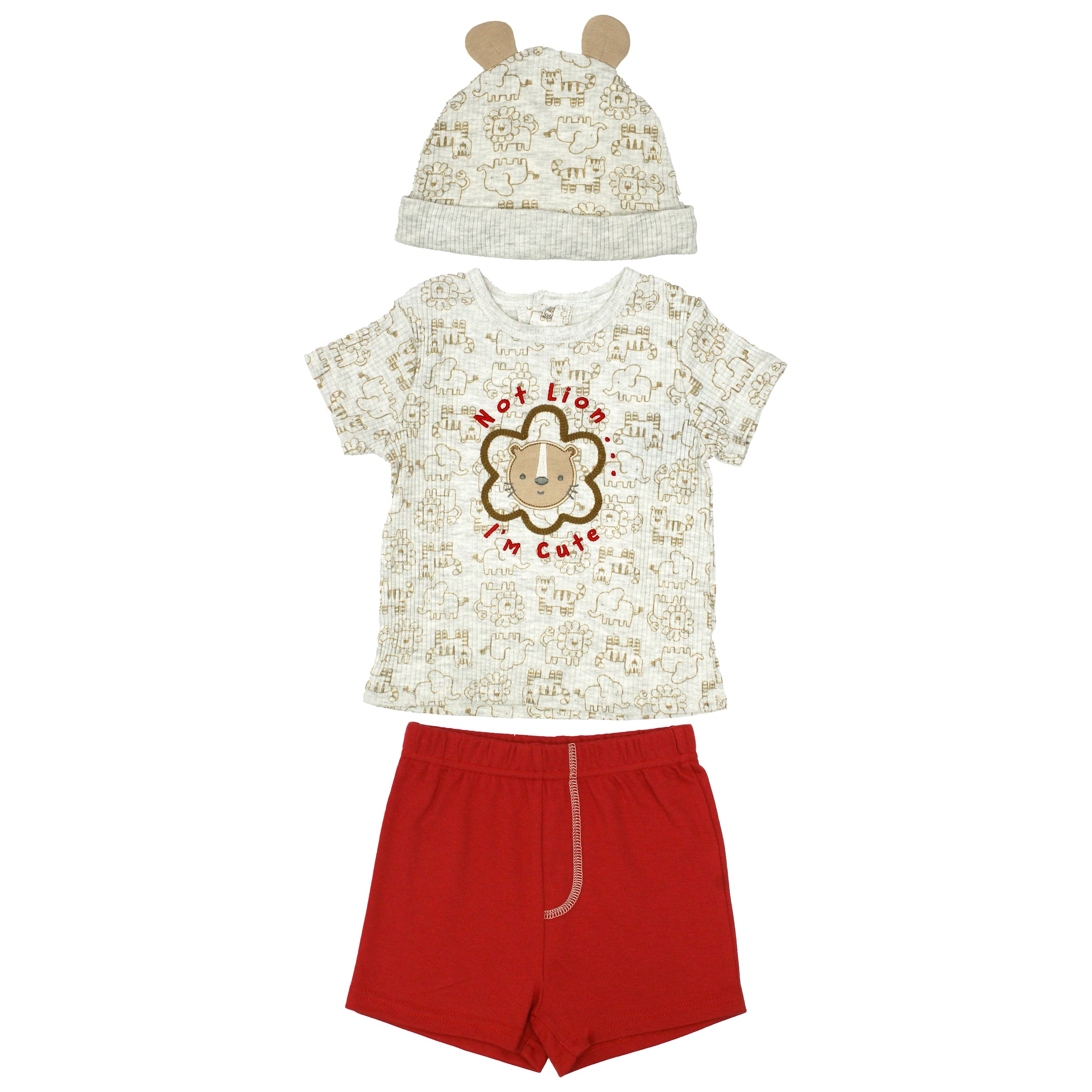 Sueter Manga Corta + Pantalón Corto + Gorro