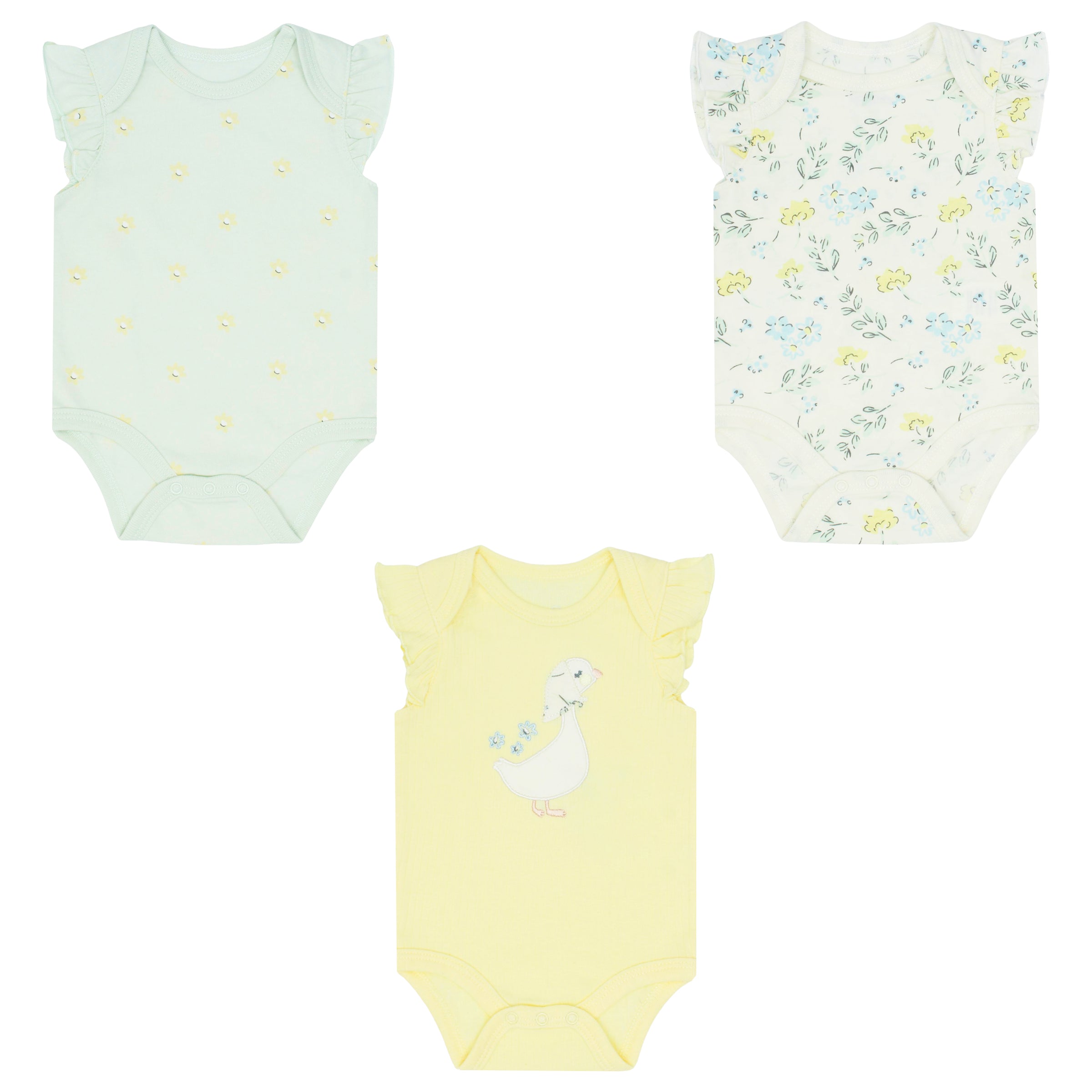 Body Manga Corta 3pk